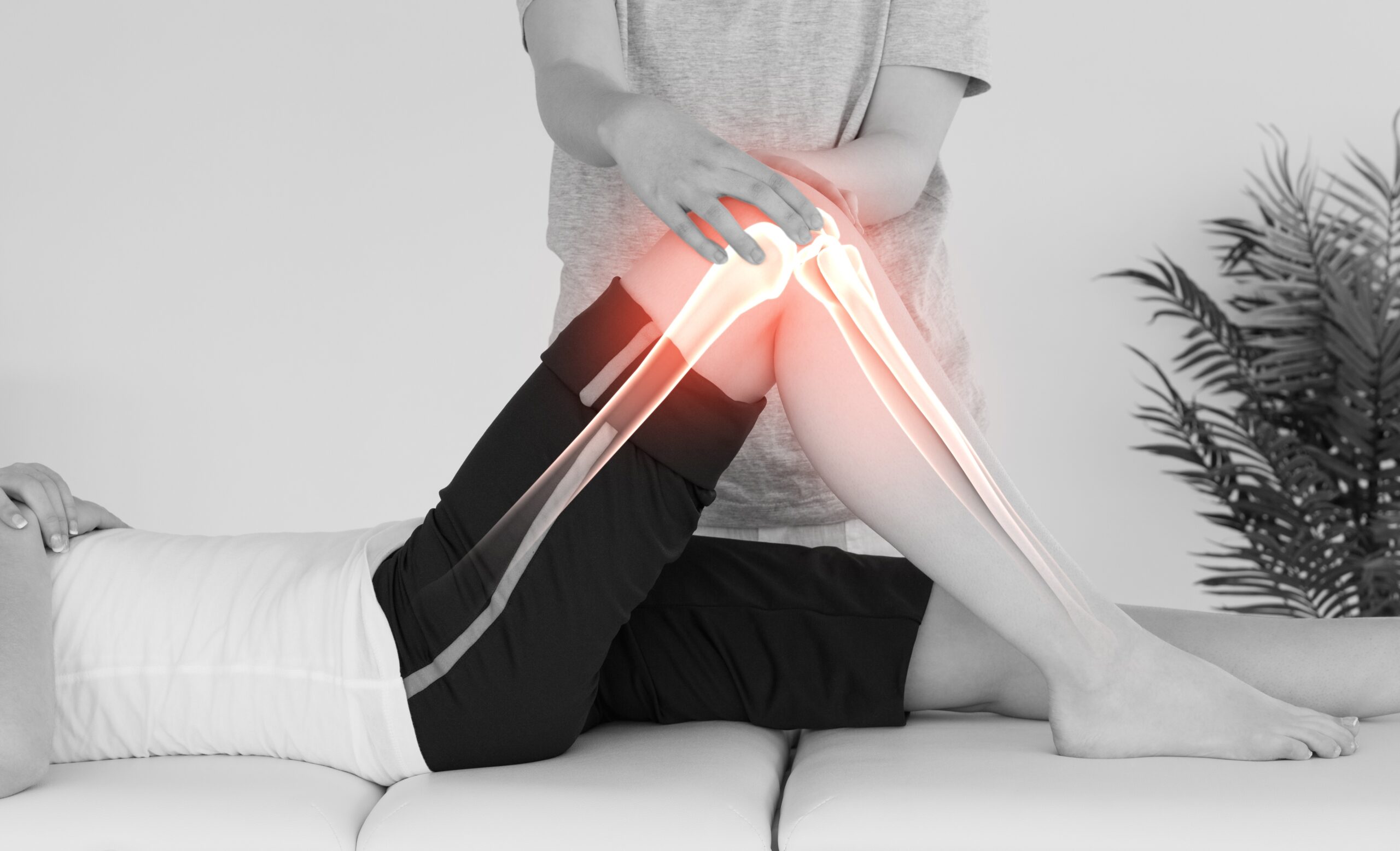 Highlighted bones of woman at physiotherapist